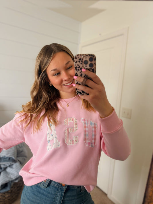 USA Embroidered Sweatshirt